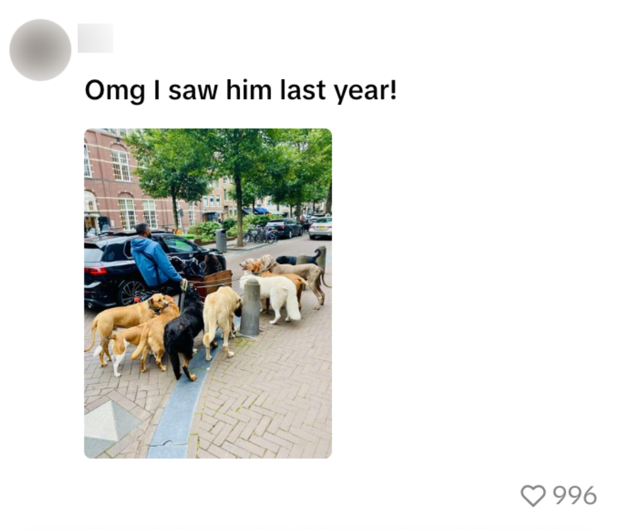 Honden