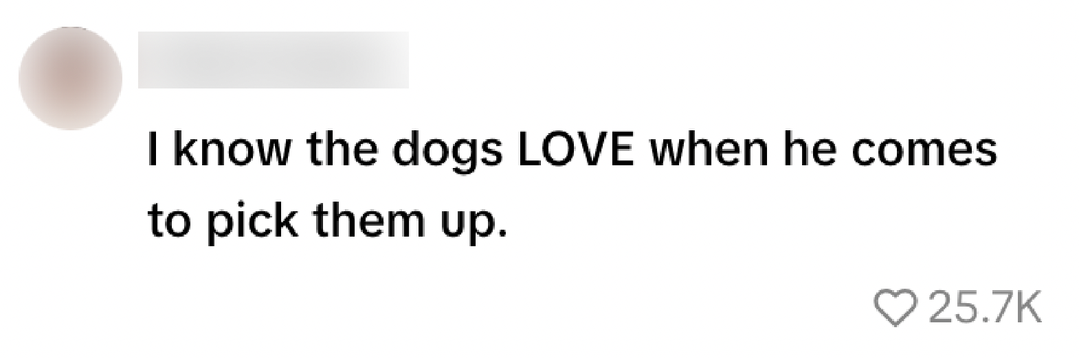 Honden