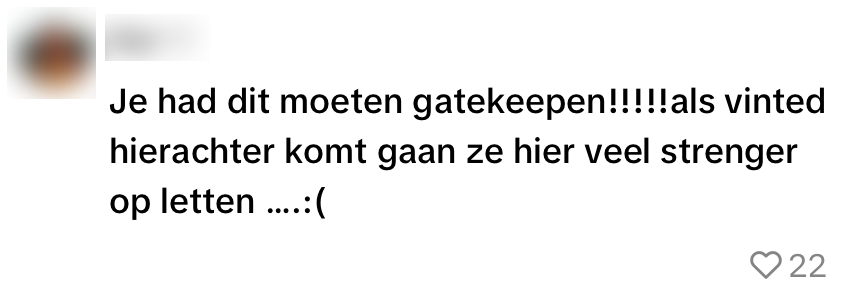 vinted ruimbagage vliegtuig