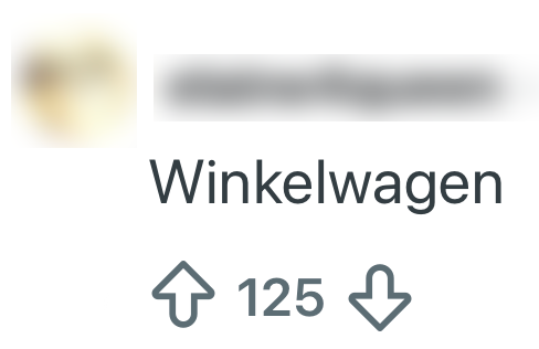 woorden nederlands