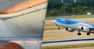 tui muis foto