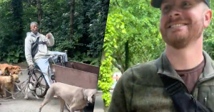 uitgelichte afbeelding honden