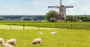 nl2