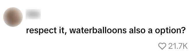 bitterballen