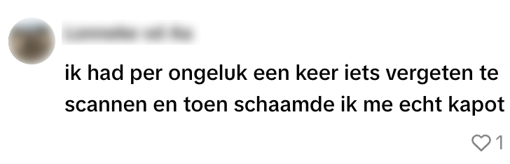 albert heijn