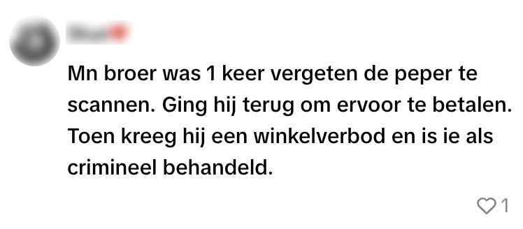 albert heijn