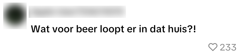 kamernet video