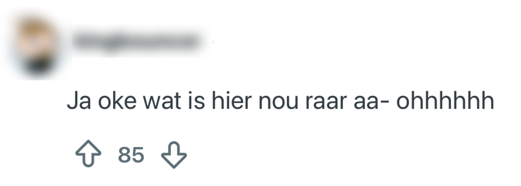 kruidvat zelfscan kassa controle