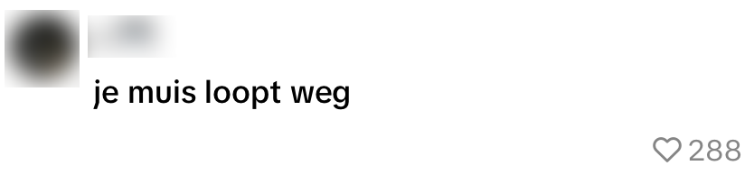 VU student muis