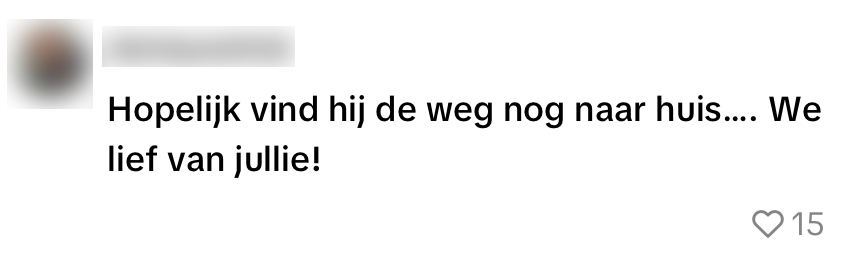 kat rondvaartboot