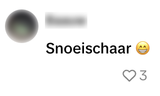 snoei