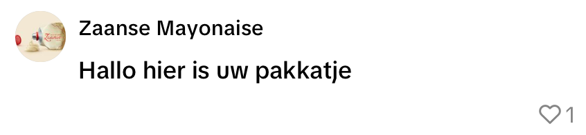 postnl bezorger pakketje