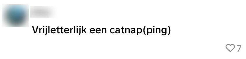 postnl bezorger pakketje