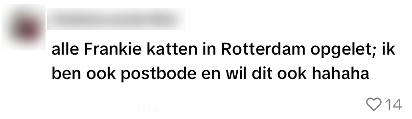postnl bezorger pakketje