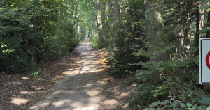 uit bos