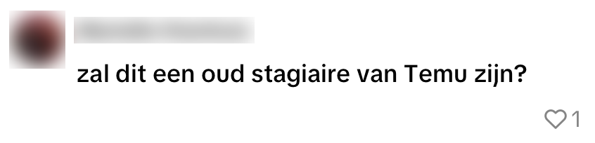 vinted oplichting