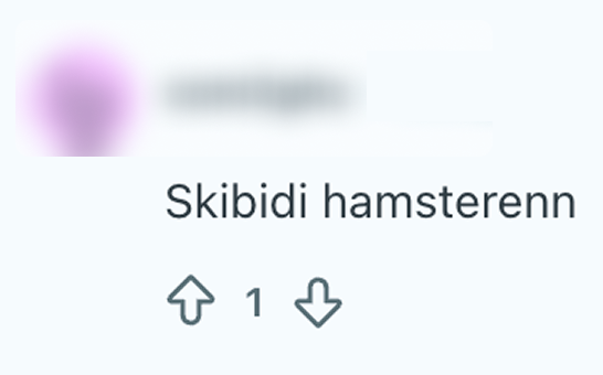 skibidi