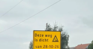 bord back foto