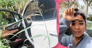 leenauto foto