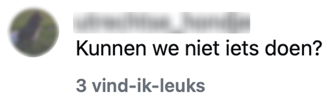 iets doen voor zeehondencentrum