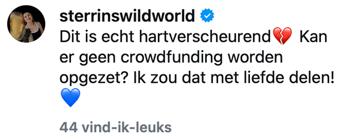 sterrinswildworld